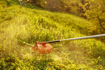 mowing trimmer - worker cutting grass in green yard at sunset.