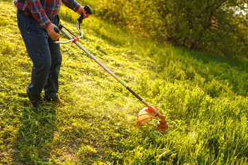 mowing trimmer - worker cutting grass in green yard at sunset.