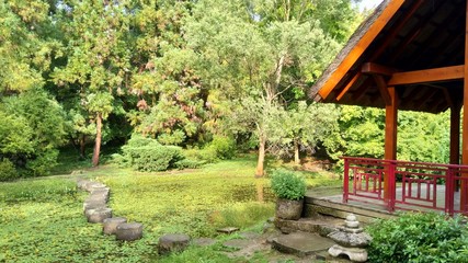 japanese garden with trees and garden