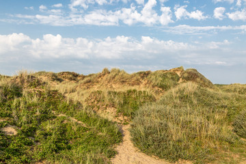 Fototapeta na wymiar Marram grass covered sand dunes at the Merseyside coast, at Formby