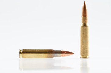 Hunting cartridges of caliber .308 Win