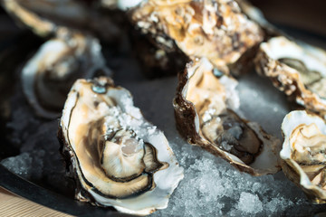 Oysters on the plate.
