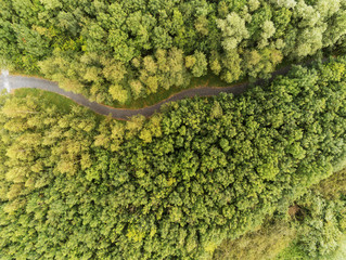 Green forest landscape, Aerial view. Path way going through.