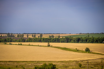 Fototapeta na wymiar Russian open spaces. Field. Summer Russian landscapes. Road views. Summer landscape background
