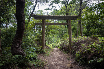 Large shinto gate over forest trail in mountains