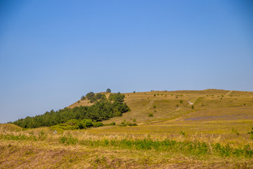 Obraz premium Russian open spaces. Crimea. Field. Summer Russian landscapes. . Grass and sky. Background summer landscape. Crimean fields