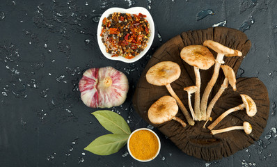 Fresh mushrooms with spices and herbs on black board. View from above. Copy space.