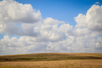 Fototapeta premium Russian open spaces. Crimea. Field. Summer Russian landscapes. . Grass and sky. Background summer landscape. Crimean fields