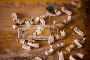 chemical insecticide anti mosquito ashes