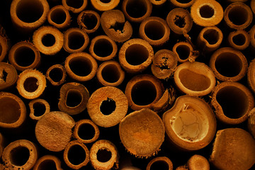 Fondo madera 