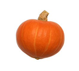 Pumpkin isolated on white background with clipping path
