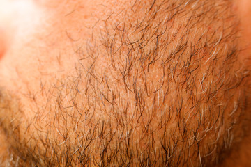 Macro detail of a man's beard hairs.