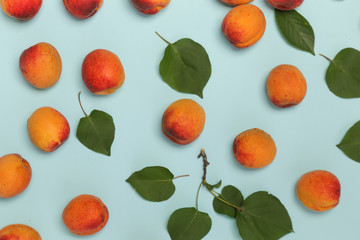 Apricots on a blue background, the flat lay image of ripe apricots and leaves	