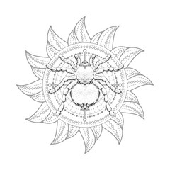 Vector illustration with hand drawn spider and Sacred geometric symbol on white background. Abstract mystic sign.