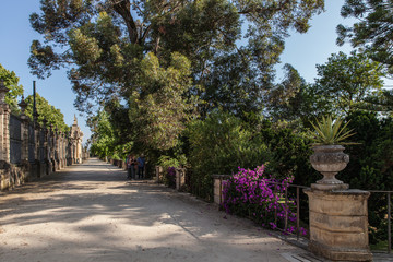 Coimbra (Portugal) - Jardin botanique