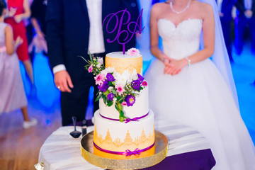 he newlyweds hold hands and look at the wedding cake. guests in