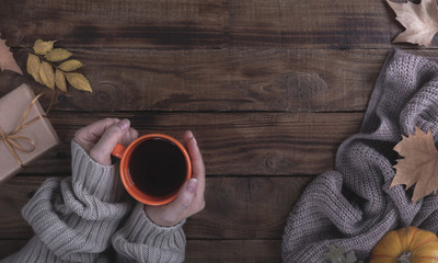 Female hands holding hot coffee