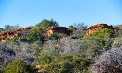 Waterberg plateau National Park.
