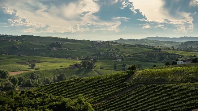 Aerial landscape beautiful green hills of vineyards of Tuscany and Piedmont, Italy. Region wine area langhe, monferrato and roero fields. 