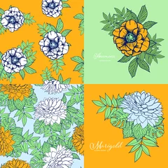 Foto op Plexiglas Summer Hibiscus, Marigold and Anemoon flowers design set   © Carrie