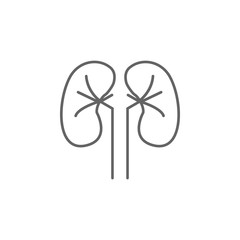 Body organ, kidney icon. Element of medicine icon. Thin line icon