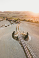 Famous Tuscany view of Cipressi di San Quirico d'Orcia. Autumn aerial view of cypress trees and empty agricultural fields at sunset. Italy landscape. Popular italian landmark - Tuscan hills.