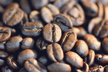 close up of a coffee bean on texture background and sunlight in morning