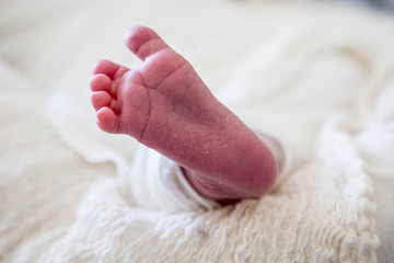 tiny foot