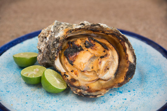 Platillo de Osti&oacute;n a la parrilla