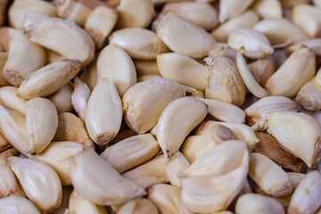 White garlic pile texture. Fresh garlic on market table closeup photo. Vitamin healthy food spice image. Spicy cooking ingredient picture. Pile of white garlic heads.