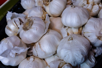 White garlic pile texture. Fresh garlic on market table closeup photo. Vitamin healthy food spice image. Spicy cooking ingredient picture. Pile of white garlic heads.