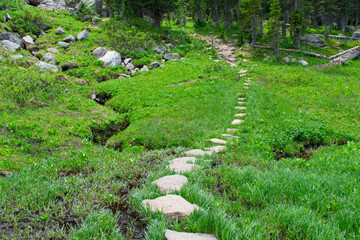 Stone walkway on trail in Rocky Mountain National Park