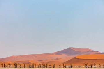 Fototapeta na wymiar Mirage in desert
