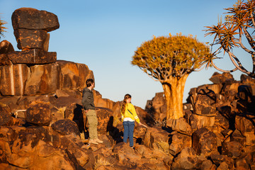 Quiver tree forest in Namibia