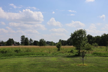 Beautiful day for frisbee golf