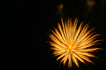 Fototapeta premium fireworks in the sky