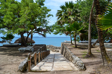 Access path made by stones to the Blue Sea between green coconut trees in Rosario Island (Cartagena - Colombia)