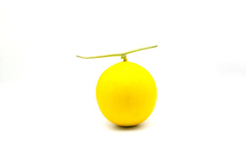 isolated round yellow cantabloupe