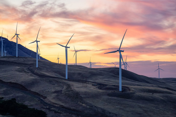 Beautiful Landscape View of Wind Turbines on a Windy Hill during a colorful sunrise. Taken in Washington State, United States of America.
