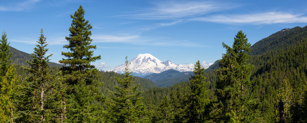 Beautiful Panoramic American Mountain Landscape view during a sunny summer day. Taken in Paradise, Mt Rainier National Park, Washington, United States of America.