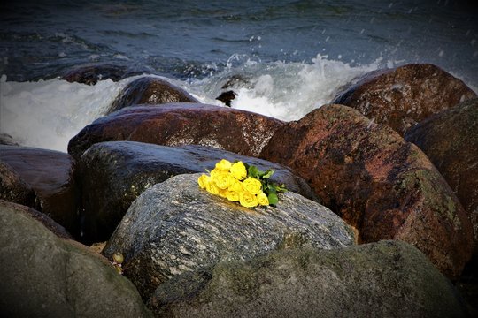 Bouquet of yellow roses on a rock at the sea coast, focused with vignette