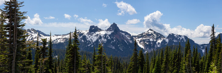 Beautiful Panoramic American Mountain Landscape view during a sunny summer day. Taken in Paradise, Mt Rainier National Park, Washington, United States of America.