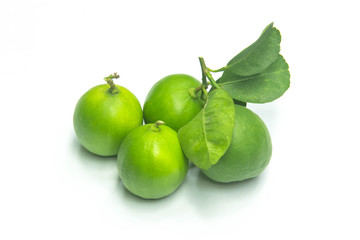 Lime isolated close-up on a white background