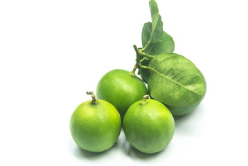 Lime isolated close-up on a white background