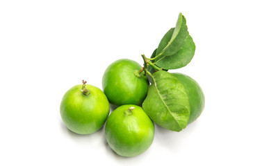 Lime isolated close-up on a white background