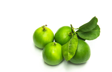 Lime isolated close-up on a white background