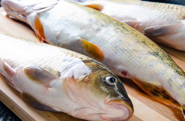 Uncooked fish on cutting board in meal preparation concept