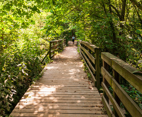 A man walking on a wooden walkway in Frick Park, Pittsburgh, Pennsylvania, USA in summer time