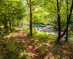 A natural walking path next to Nine Mile Run in Frick Park, Pittsburgh, Pennsylvania, USA. The stream runs through the park and ends up emptying into the Monongahela River