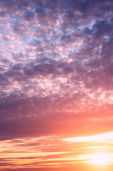 Obraz premium Beautiful pink and purple cirrus clouds and sunset sun.